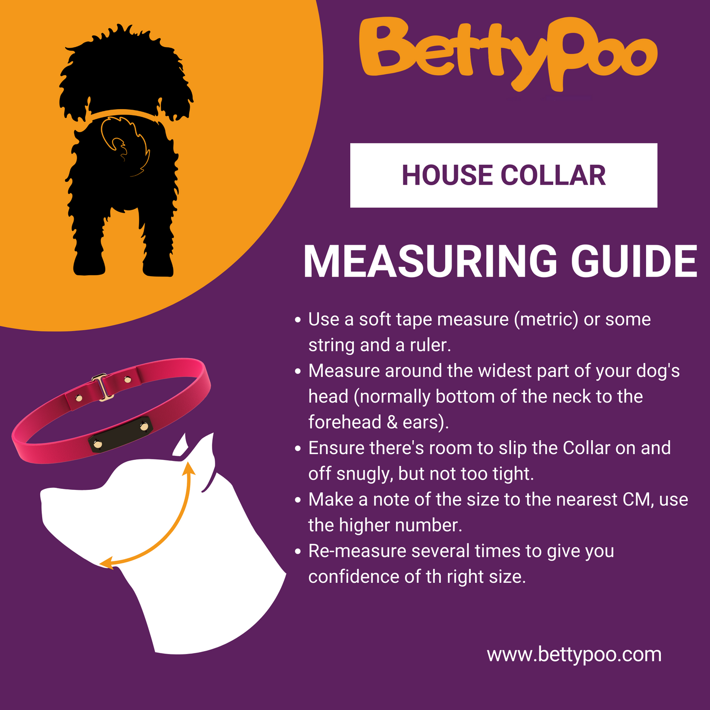 ID Engraved House Collar