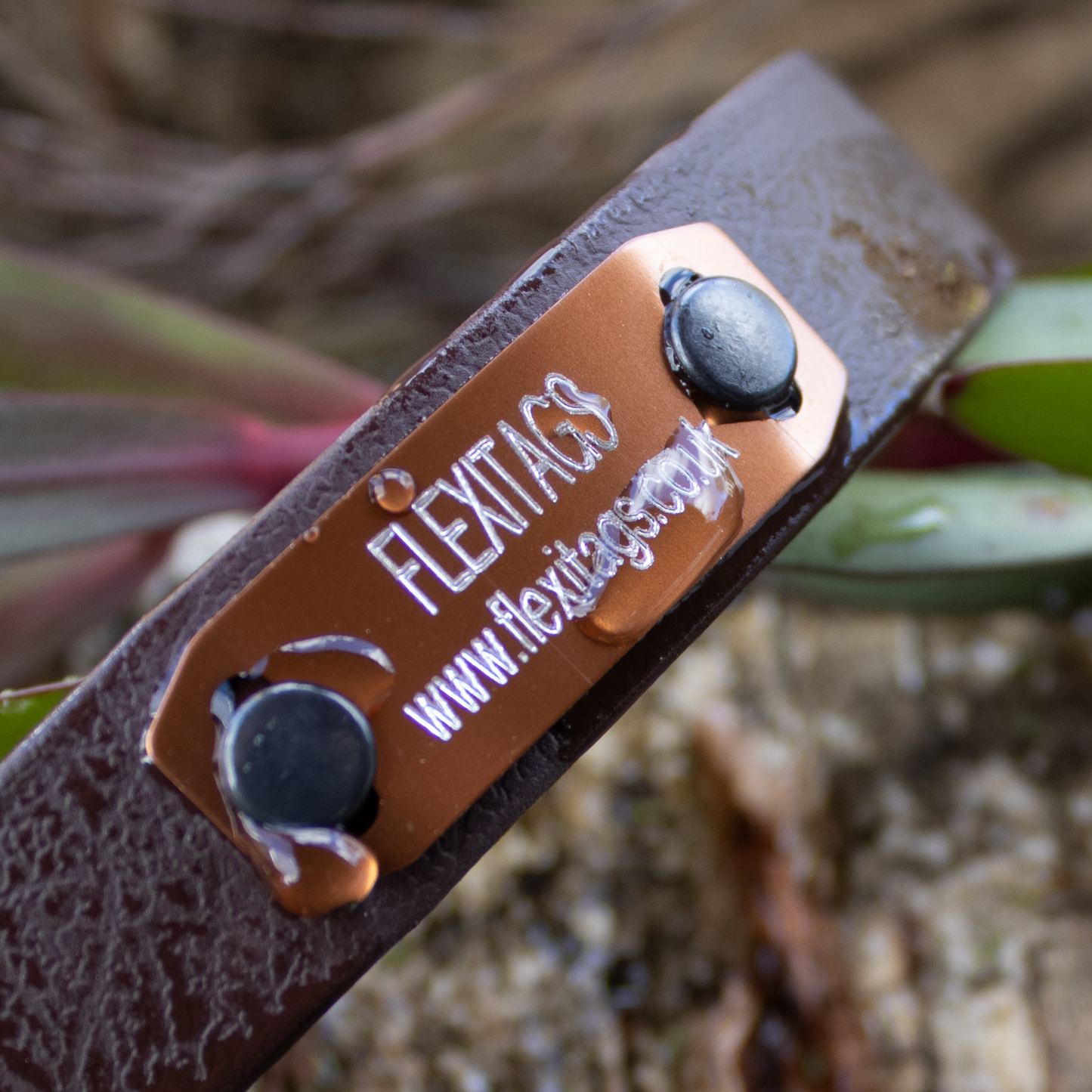 Adjustable - ID Engraved collar