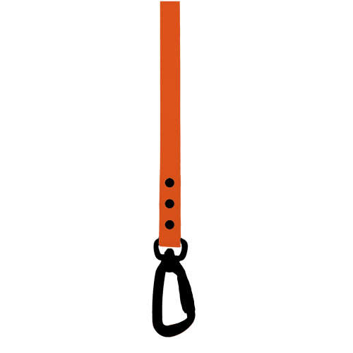 Active Leads