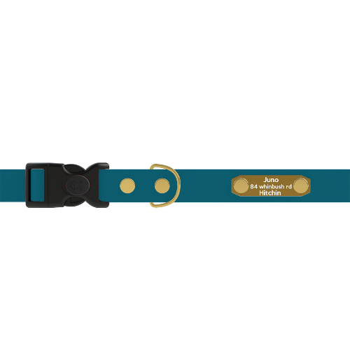 Adjustable - ID Engraved collar