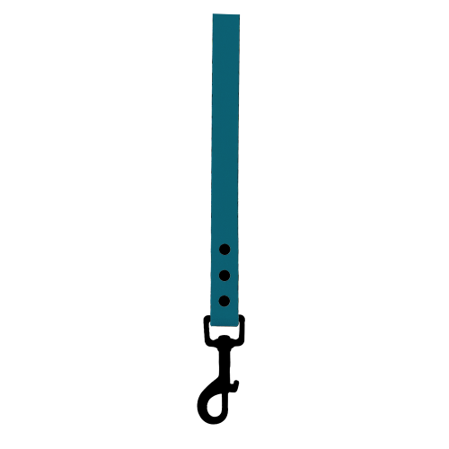 Walking Leads