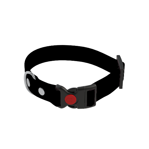 Reflective Collars
