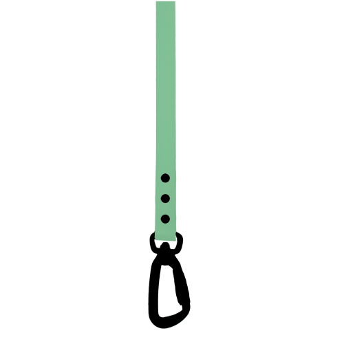 Active Leads