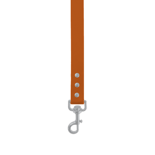 Control Leads
