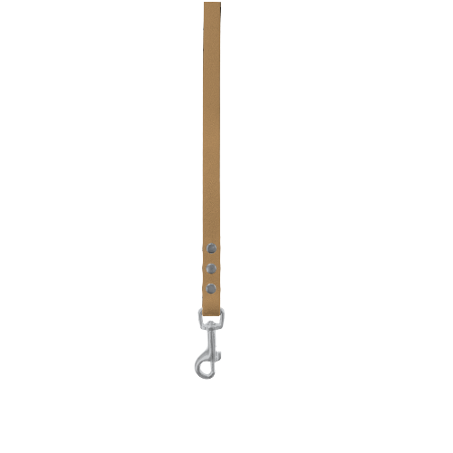 Control Leads