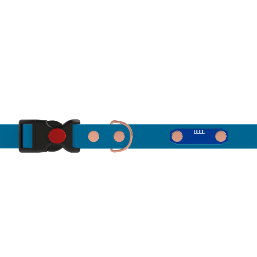 Adjustable - ID Engraved collar