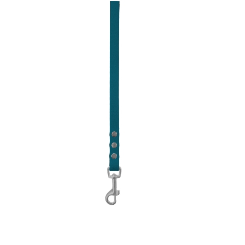 Control Leads