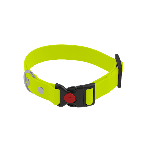 Reflective Collars