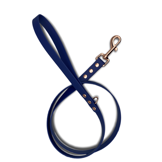 Walking Leads