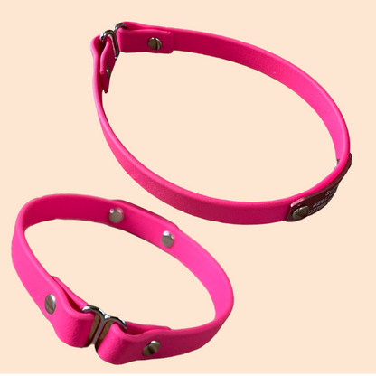 ID Engraved House Collar