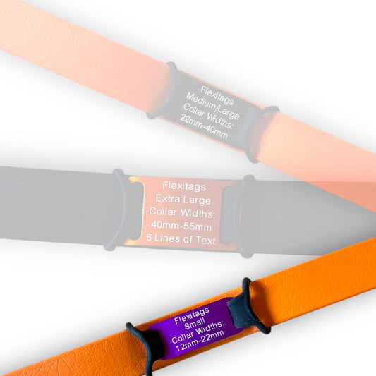 Flexitag Small (S)