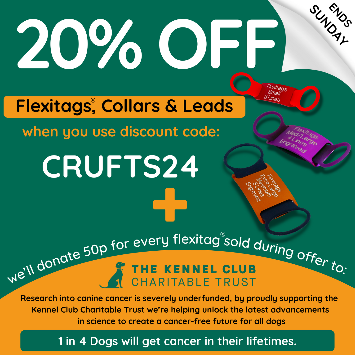 The home of Flexitags dog collar dog tag Handmade Collars and