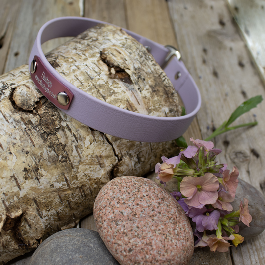 ID Engraved House Collar