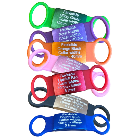 NEW Flexi'slide' - ID Tag