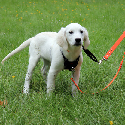 Walking Leads