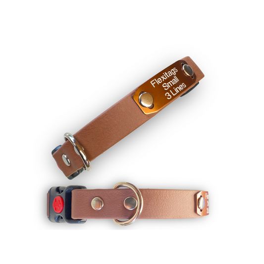 Adjustable - ID Engraved collar