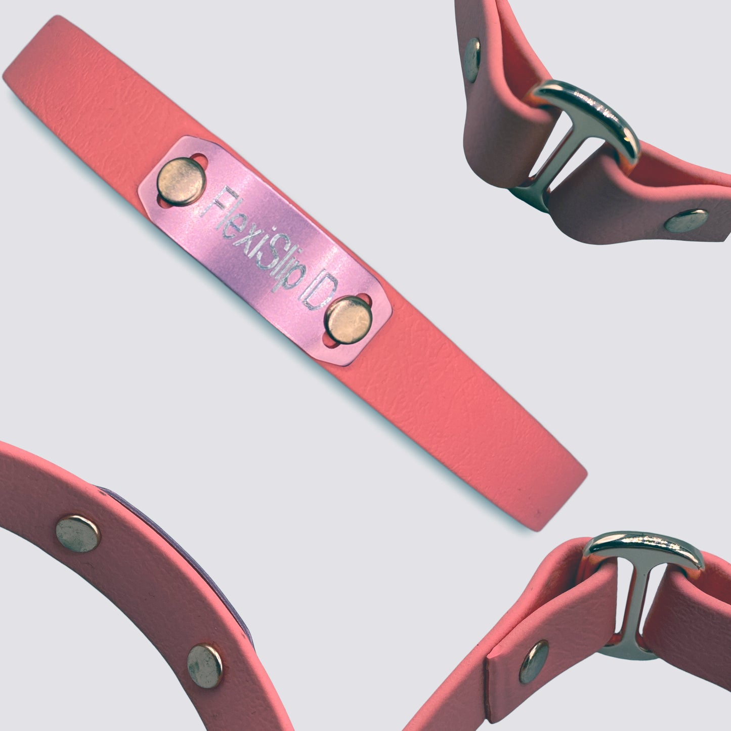 FlexiSlip-Engraved ID house collar - Flexitags 